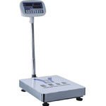 Digital scale