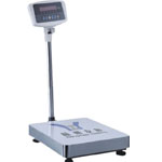 Digital scale